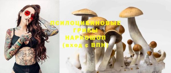 бошки Михайловка