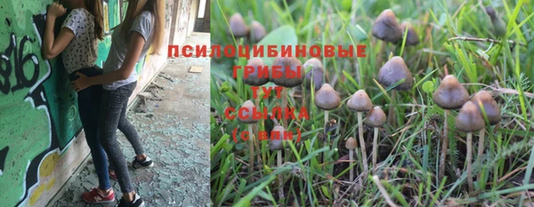 дмт Михайлов