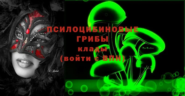 дмт Михайлов