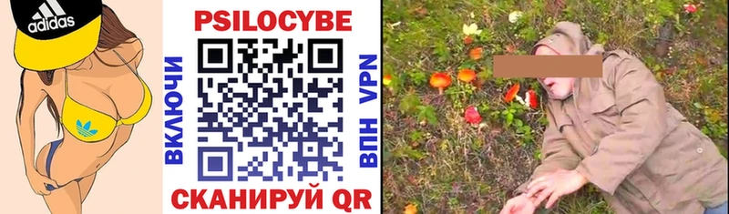 Купить где  Знаменск  Псилоцибиновые грибы мицелий 